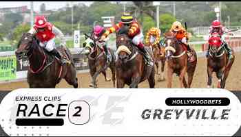 20230925 Hollywoodbets Greyville Express Clip Race 2 won by LE PREMIERE