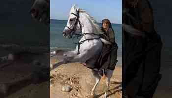 Women horse riding | Girl horse riding #girlpower #horseriding #horseracing #horsepower #horselovers