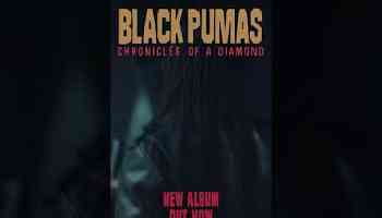 &#39;Chronicles of a Diamond&#39; has been out for one month! #shorts #blackpumas #newalbum #outnow