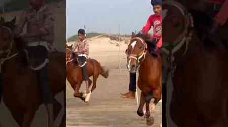 Rawal pir patti horse race | Mandvi horse race | kutch Mandvi horse race | horse power | #shorts