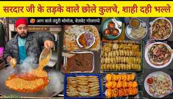 SK Chole Kulche, Shahi Dahi Bhalle, Tandoori Fire Momos &amp; More || Delhi Street Food