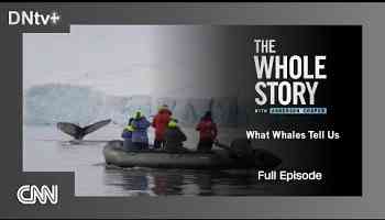 CNN | The Whole Story - What Whales Tell Us - Full episode (2024)