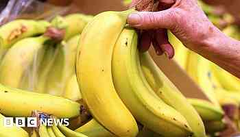 Bananas to cost more as climate warms, says expert