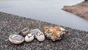 South Koreans are dealing with burnout and loneliness by getting pet rocks