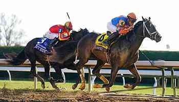 Big Race Betting 2024 Arkansas Derby And Florida Derby Odds And Picks