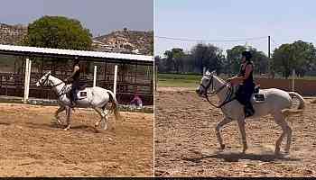Learn Horse Riding On Your Next Holiday In India Like Bhumi In Jaipur