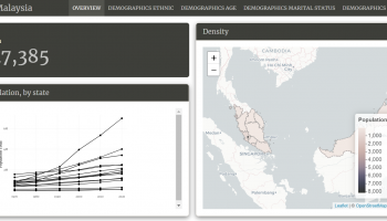 Building a Malaysian Population Dashboard with Quarto in R