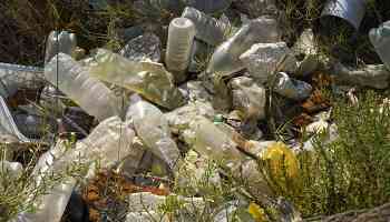 Study Links Tiny Bits of Plastic to Worse Heart Health