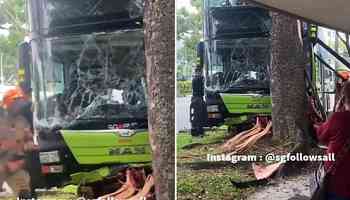 SMRT bus captain dies after crashing vehicle into tree in Woodlands
