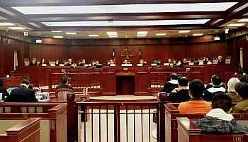 Constitutional Court rules public insult offense constitutional