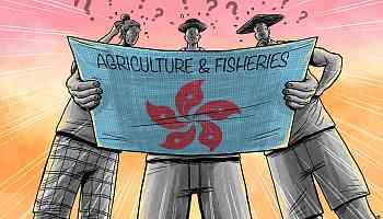 Can Hong Kong cultivate its agriculture, fisheries sectors? Experts say more policy support needed to tend to neglected farming scene