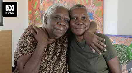 Arnhem Land sister artists record fragile abundance of Top End wet season in collection of paintings