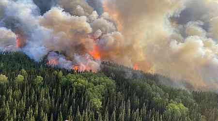 Ontario short forest firefighters as over a dozen wildfires are reported, union says