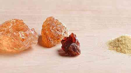 West Gum Arabic From Africa's Acacia Trees in the Sahel Is Used in Hundreds of Products - What's Worth Knowing