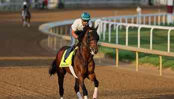 Kentucky Derby 2024: Post Positions, Latest Vegas Odds and Picks After Post Draw