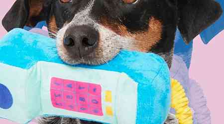  Your Dog Called & Asked For A BarkBox Full Of Paw-some Treats & Toys 