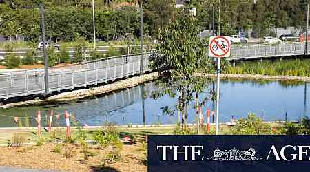 Ghosted: the unanswered letter that sparked a fight over Rozelle Parklands