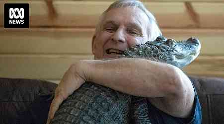 WallyGator, a formerly depressed man's emotional support alligator, has gone missing