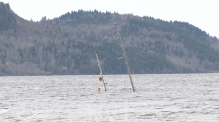 Local MP, MLA call on federal government to remove sunken vessel in Saint John River