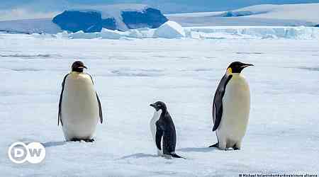 German, New Zealand research institutes sign Antarctic deal