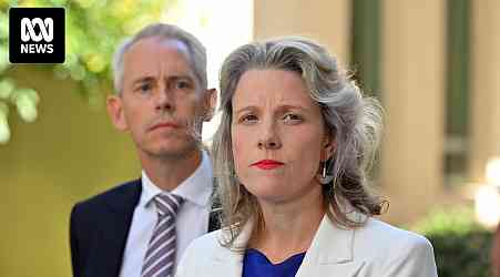 Clare O'Neil and Andrew Giles dodge the spotlight shining on blunders over ex-detainees