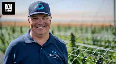 Citrus grower invests in one of Australia's largest outdoor medicinal cannabis facilities