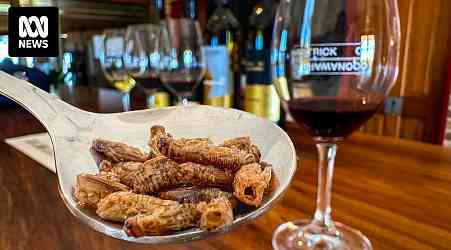 Edible insects and wine paired at Coonawarra vineyard to celebrate sustainability