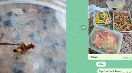 'Worse than cai fan': Mum upset by 'insects and foreign objects' in confinement meals