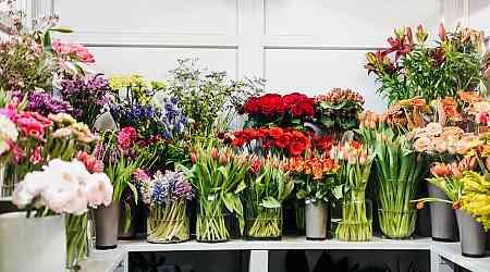 The Guy's Guide to Buying Flowers