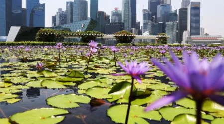 Singapore ranks 4th wealthiest city in the world, overtaking London: Report