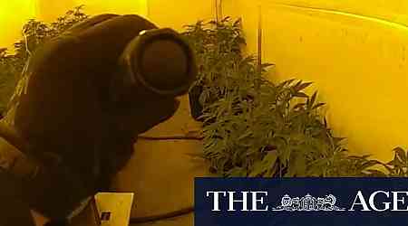 WA police find 750 cannabis plants in homes