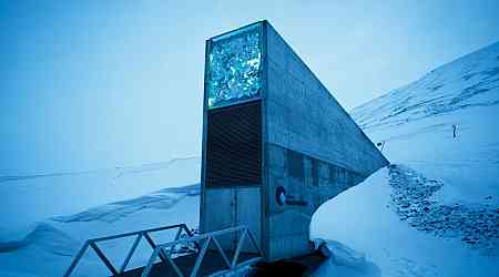Men Behind the Arctic Doomsday Seed Vault Win World Food Prize