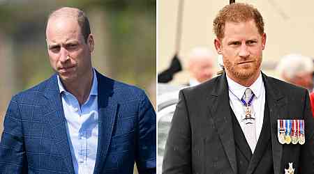 Why the Timing of Prince William's New Title Is an 'Insult' to Prince Harry
