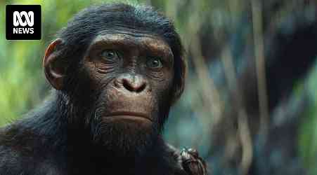 Kingdom of the Planet of the Apes takes the series in a different direction