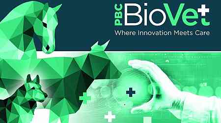 Introducing PBC BioVet: A New Frontier in Veterinary Healthcare
