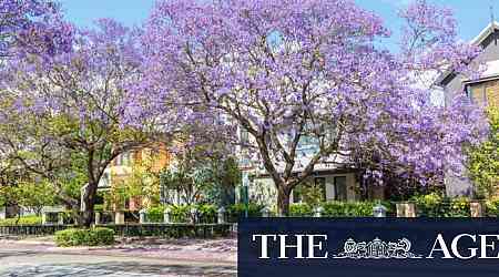 What it costs to live in the Perth suburbs where wellbeing is highest