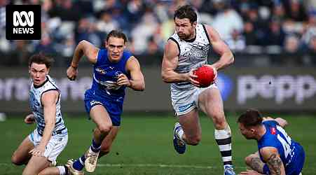 How Geelong and North Melbourne arrived at opposite ends of the AFL ladder in the space of a decade