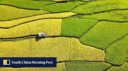 Central Chinese province Hunan to play big role in helping boost African farming and industrial gains