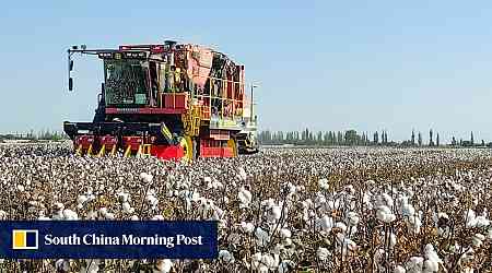 US bars imports from 26 cotton manufacturers over Uygur forced labour