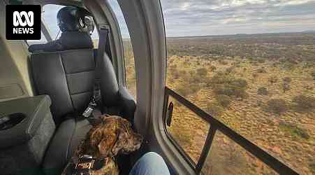 Cattle-mustering pilot pulls off miraculous dog rescue in outback Western Australia
