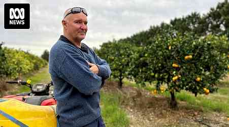 Citrus farmers say rising production costs, poor prices from supermarkets driving them out of the industry
