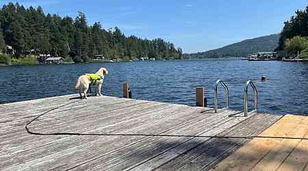 'Another pair of eyes watching over me:' How a B.C. woman's guide dog saved her from drowning