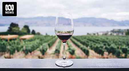Wine industry fights for support amid fears regional communities will collapse