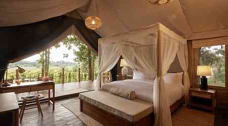 Packages for new luxury Chiang Rai tented camp