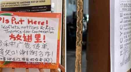 'Irresponsible act': Bedok resident frustrated after box he made to contain flyers not used
