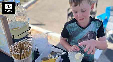 Bluey inspired six-year-old Charlie to sell lemonade to save for a boat, teaching him vital money skills too