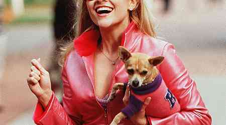  Legally Blonde Secrets That Are Just Like College, Only Funner 