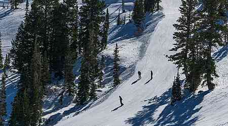 Body found near Snowbird resort after report of overdue skier