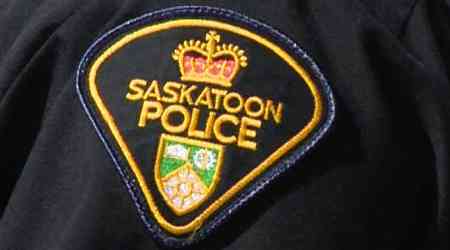 Saskatoon K9 team takes down man with machete over long weekend: police