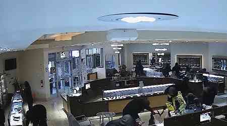 Bay Area Jewelry Store Ransacked By Gang of 20 in Broad Daylight, Wild Video